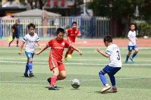 双色球盛宴,期独家预测,凤尾闪耀,广东体彩,广东体彩网,广东体彩网官网,体育彩票,体彩大乐透,竞彩足球,体彩公益