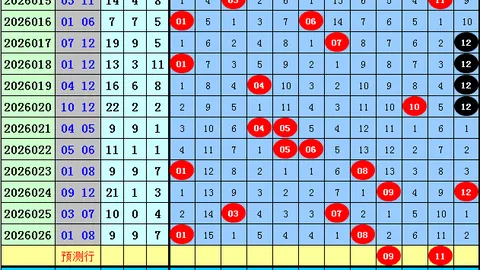 【2026026期海滨3D独家解析】专家精准一语定胆，保真攻略助你一臂之力！