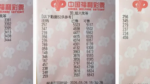 福彩3D第26067期专家精析定位推荐，质合分析前区十码